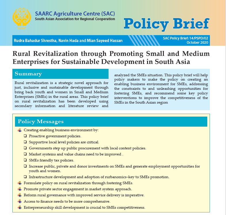 Rural Revitalization through Promoting Small and Medium Enterprises for Sustainable Development in South Asia
